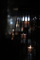 DSCF9529