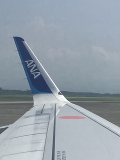 ANA