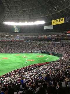 baseball