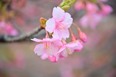春 到来