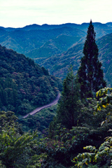 山間のカーブ道