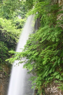 滝の横顔