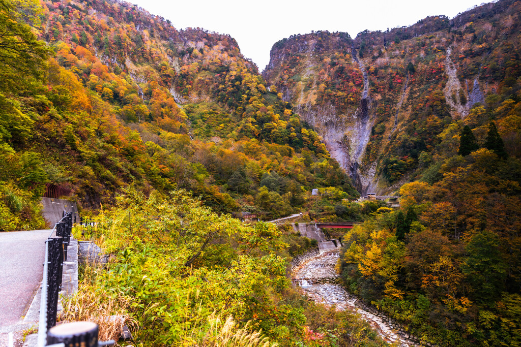 紅葉（１）〜称名滝〜
