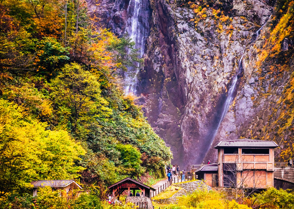 紅葉（３）〜ハンノキ滝〜