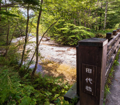 初秋上高地（５）〜田代橋〜