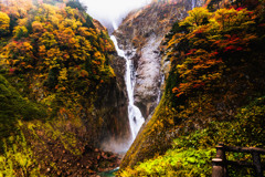 紅葉（２）〜称名滝〜