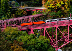 紅葉（５）〜黒部峡谷（新山彦橋）〜
