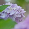 花歩記