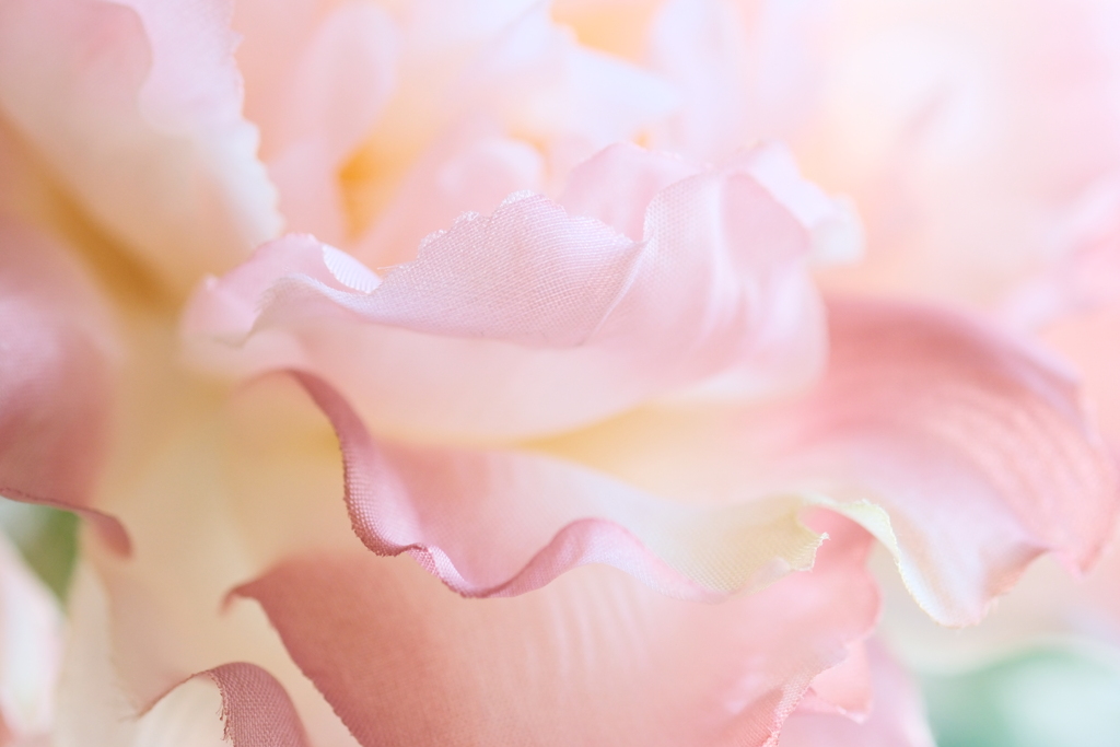 家フォト手習い