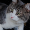 DSCF3772　if…