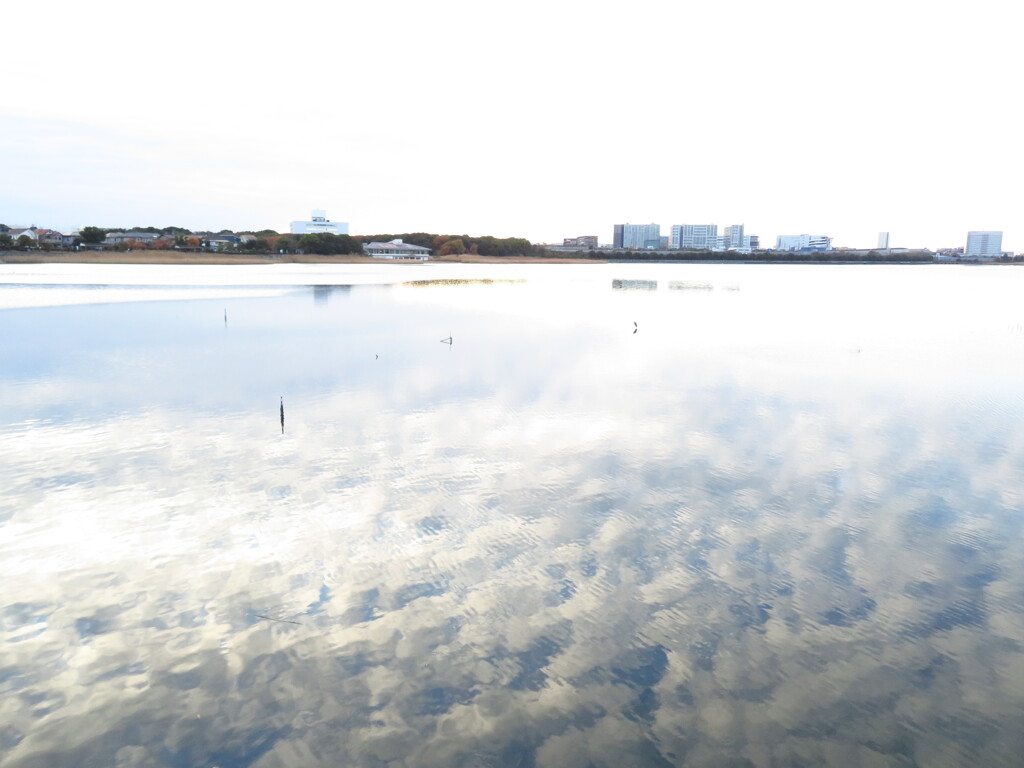 IMG_2967　水面にうつる雲