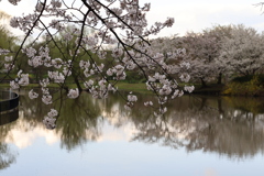 春の夕暮れ