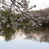 春の夕暮れ
