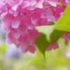 花飾り