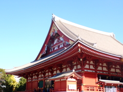 水縹の空へ
