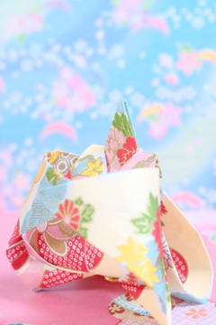 ひなの春