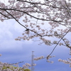 私の町で