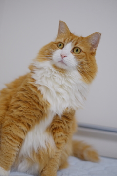 ・・・ 呼んだ？