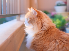 ＊ 新年の門出＊