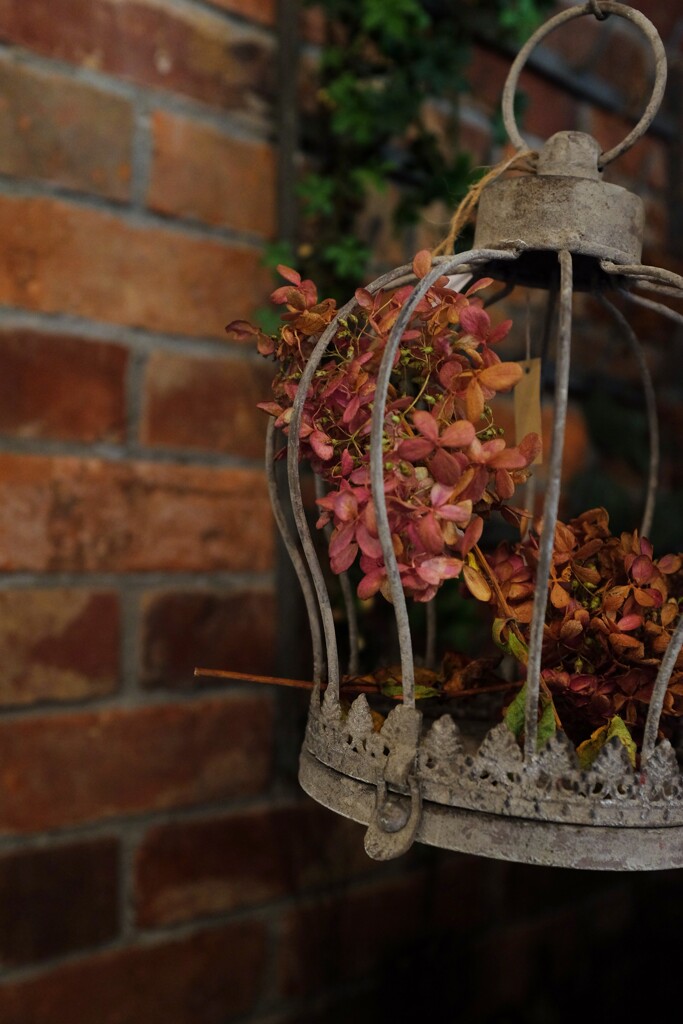 ANTIQUE