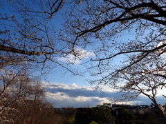 夕暮れ時
