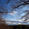 夕暮れの公園