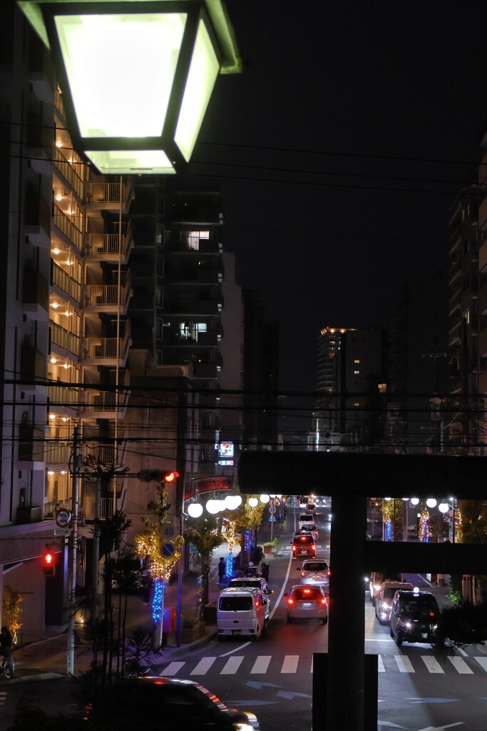 宮街に明かりがともる