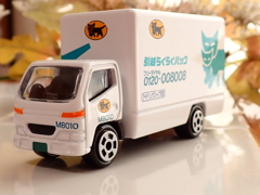 シーズン