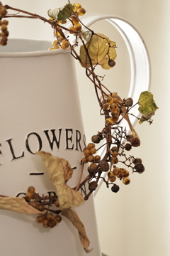 家フォト手習い②　（白×白）