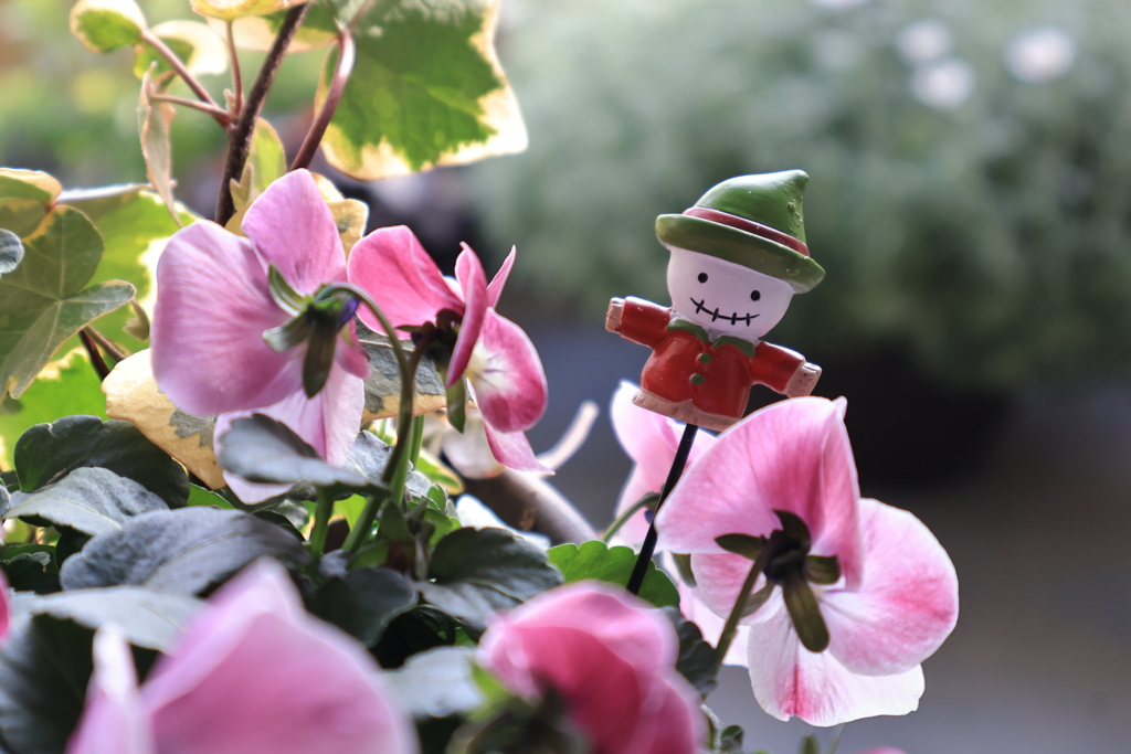 手のひらガーデンの仲間たち