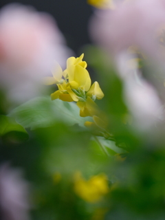 ひとつの季節が終わる時