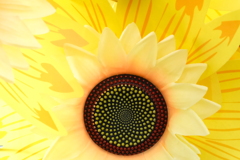 夏のアイドル　き組の花