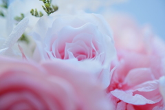 DSCF4364