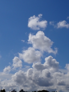 ぷくぷく.。o○　大空を行く