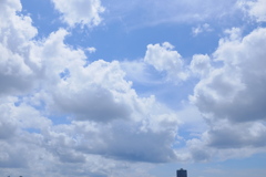 夏空