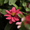 DSCF5476