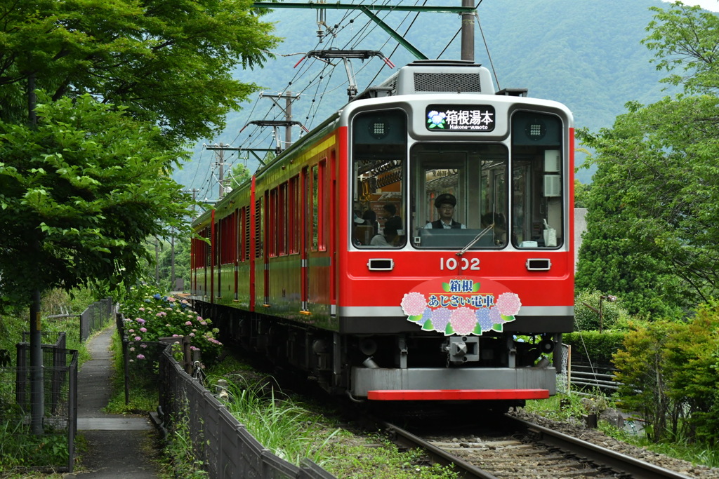 小田急箱根 あじさい電車