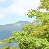 青紅葉 明星ヶ岳の大文字を添えて