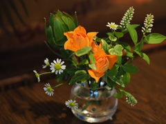 オレンジの薔薇