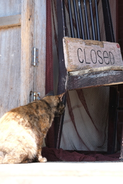 CLOSED