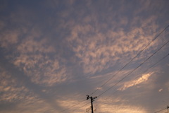 今日の空