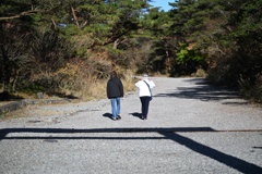 霧島神宮　参道