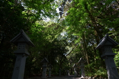 連なる