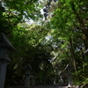 連なる
