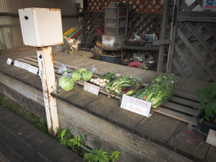 無人販売