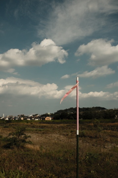DSCF6832
