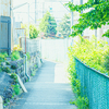 裏道