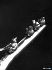 DSCF7871