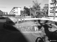 DSCF7592