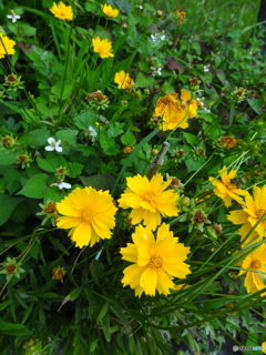 DSC02749
